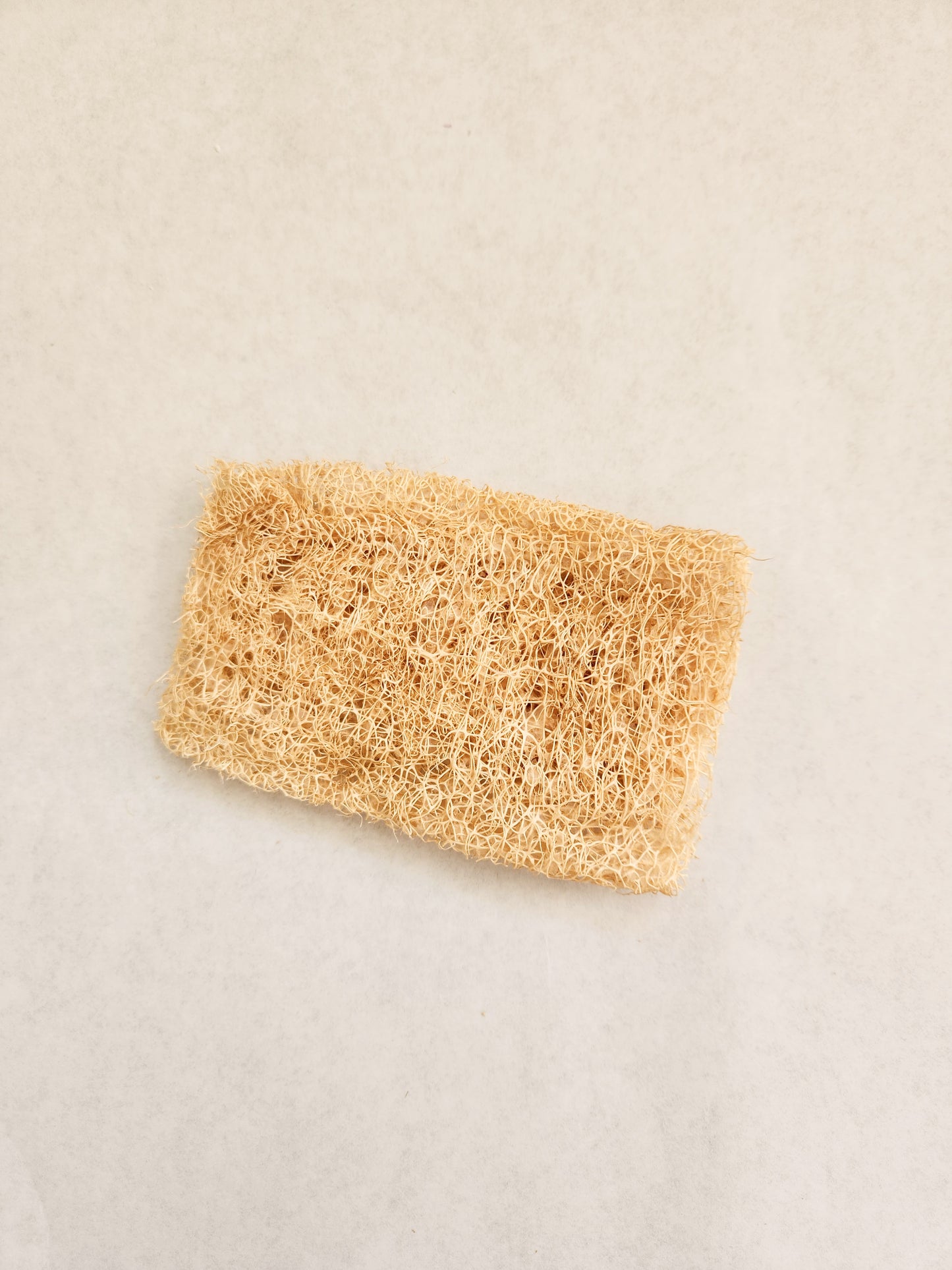 6 - Pack Loofah Scrubbers